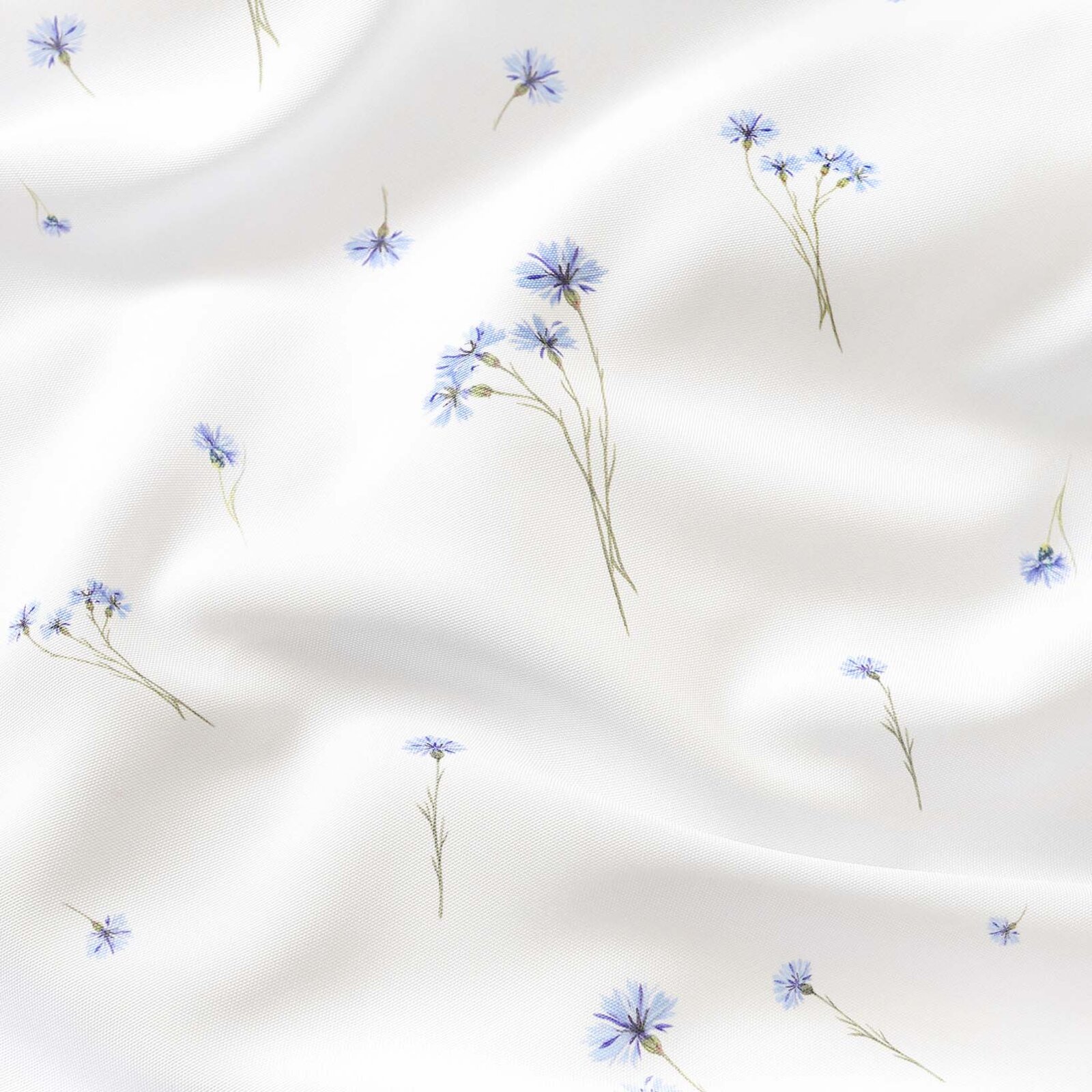 Decoratief gordijn Luca - Blauwe korenbloemen